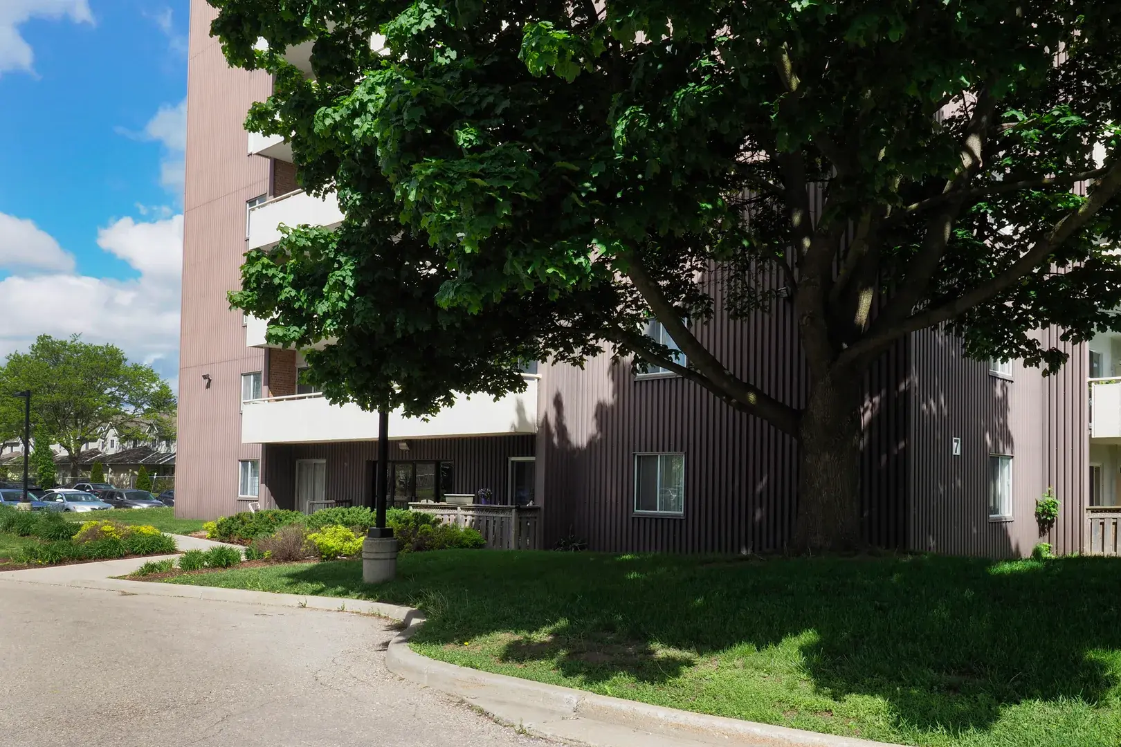 Chicopee Court — photo 4 of 10