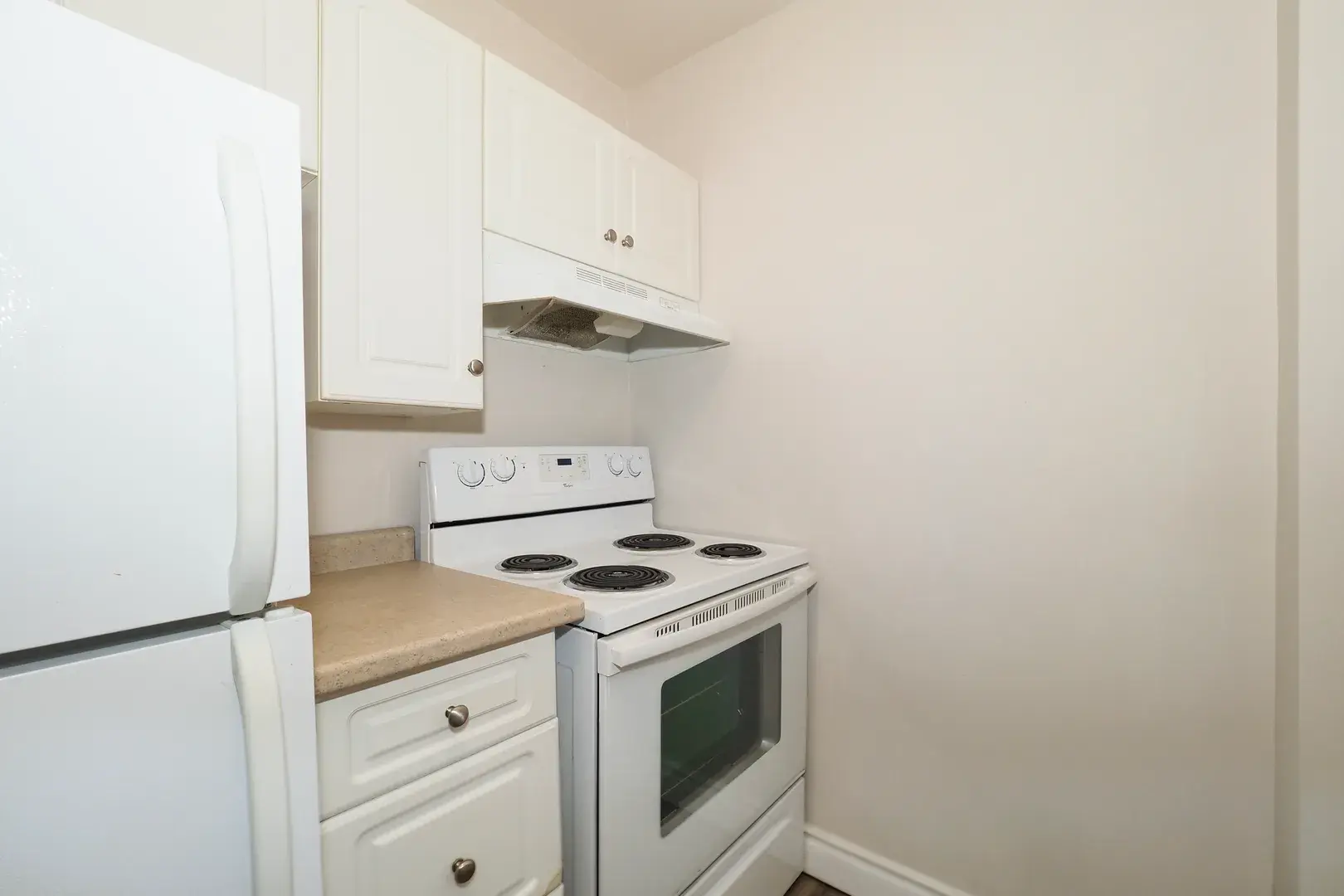 Chicopee Terrace — photo 10 of 10